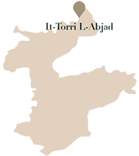 TORRI ABJAD MAP (1)
